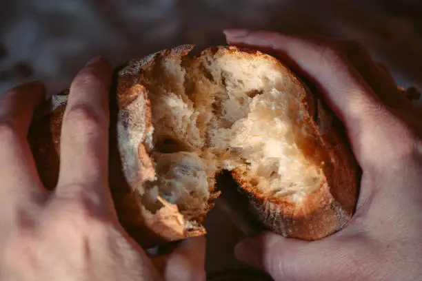 Female hands close-up breaking fresh baguette bread. Warm old french room in background. Hands tearing apart loaf.