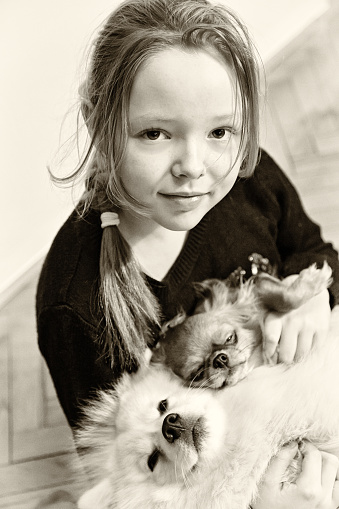 Portrait of a girl with a white Japanese Pomeranian and Chihuahua in black and white
