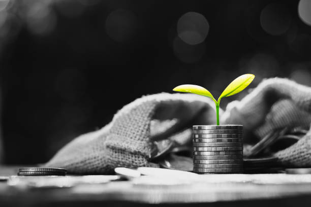 istock The coins are stacked. 1191855023