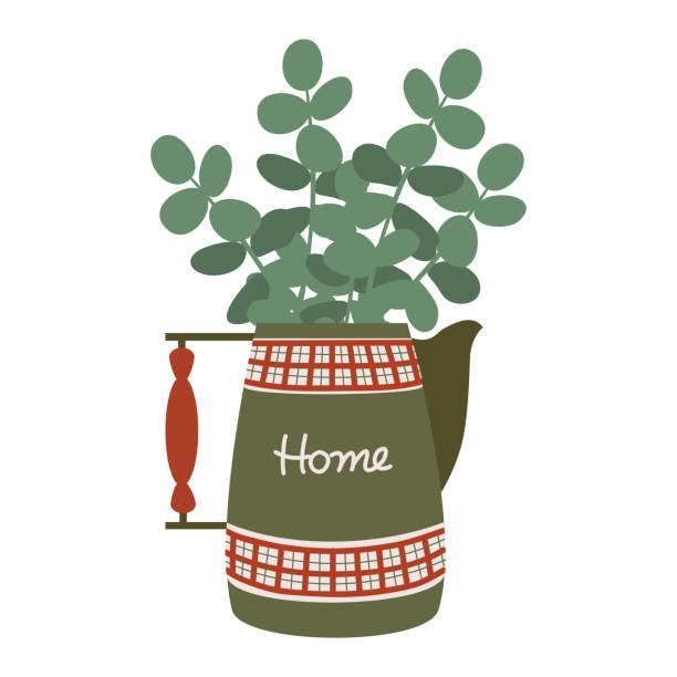 ilustrações de stock, clip art, desenhos animados e ícones de vintage red-green jug with a wooden handle and a bouquet of eucalyptus branches. antique pitcher with a trendy plant. isolated flat vector - antique old fashioned illustration and painting ancient