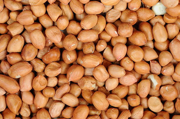 geschält erdnüsse hintergrund - peanut legume textured effect fat stock-fotos und bilder