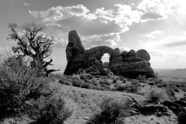 istock Early morning in Utah 1191870643