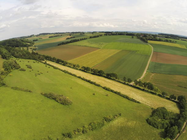 istock Fragmentation of nature reserves (calcareous grassland) 1191872671