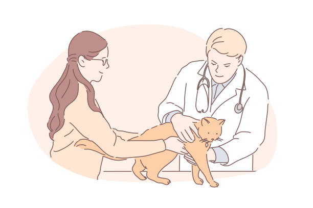 ilustrações de stock, clip art, desenhos animados e ícones de pet hospital, vet clinic, animal treatment concept - vet domestic cat veterinary medicine stethoscope