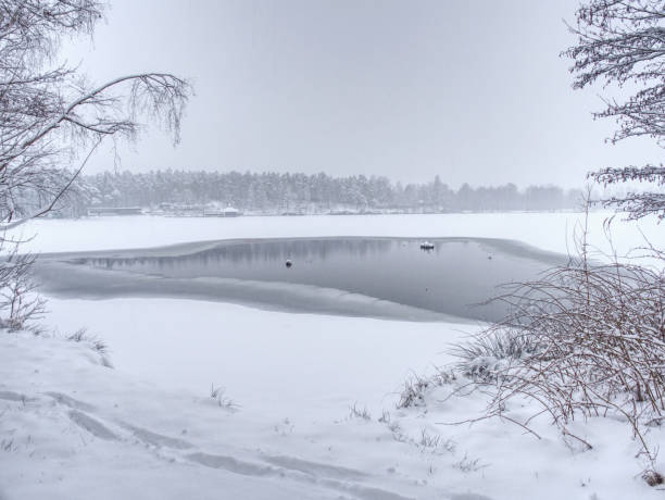 冬の森の凍りついた湖。黒い水と雪のブランチ - unfrozen ストックフォトと画像