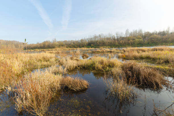 istock calm river at sunset in autumn. 1191874631