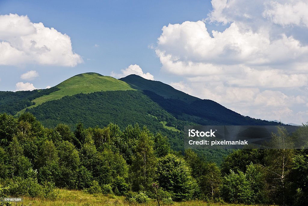 meadows en la parte superior de la montaña - Foto de stock de Aire libre libre de derechos