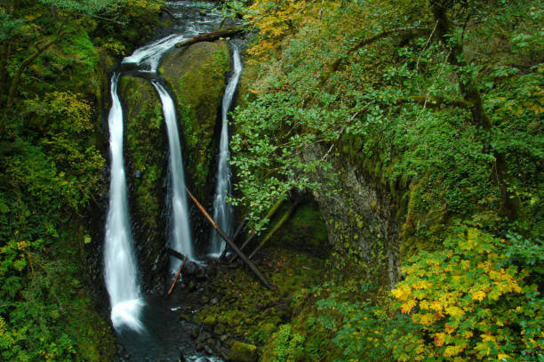 istock Triple Falls, Columbia Gorge, Oregon 1191877868