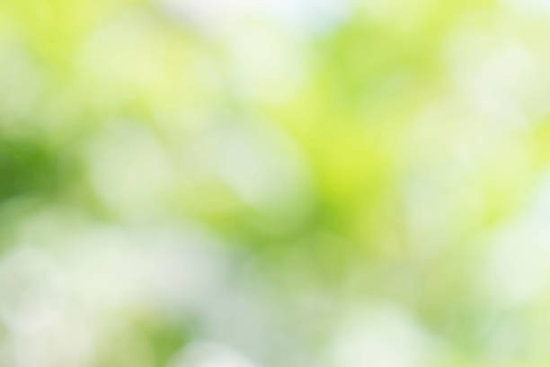 istock natural green background with selective focus 1191878551