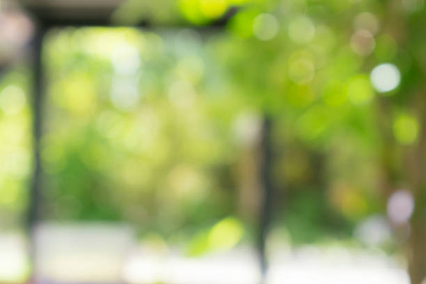 istock Natural blur in the park 1191878557