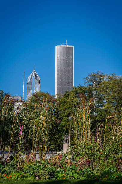 istock Grant Park, Chicago, Illinois, USA 1191880611