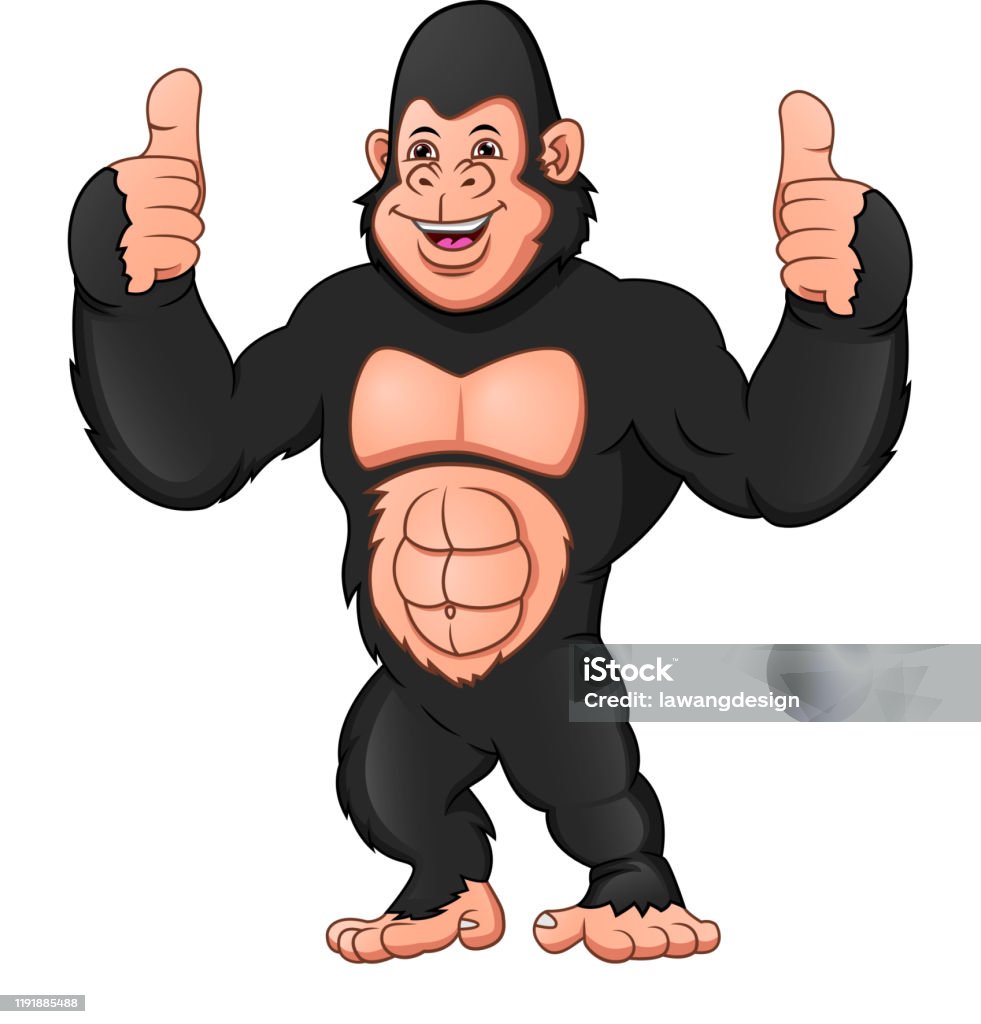Gorilla Hoạt Hình Ngón Tay Cái Lên Trên Nền Trắng Hình minh họa ...