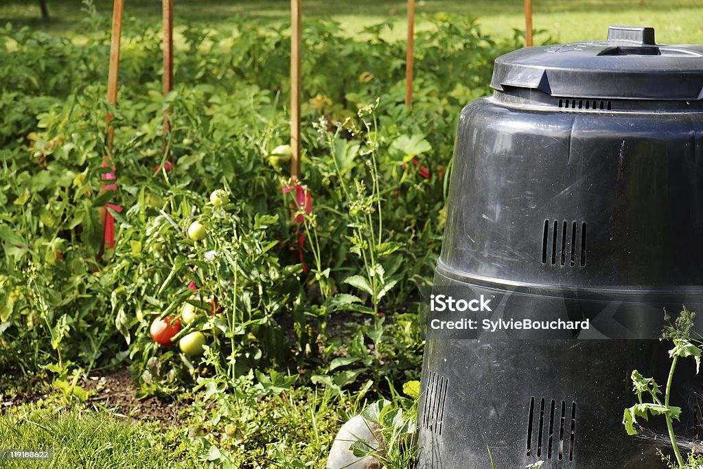 Composto bin e legumes do jardim - Foto de stock de Cor Preta royalty-free