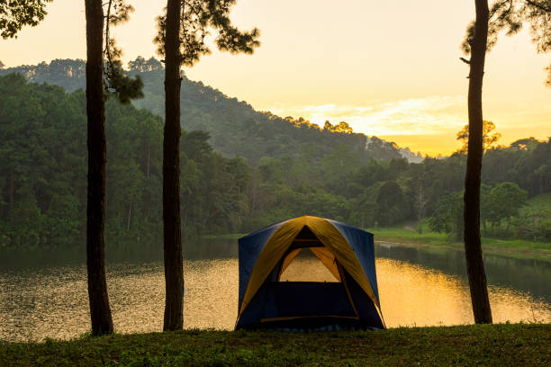 istock Camping and tent middle at beautiful pine forest in sunrise. 1191888067