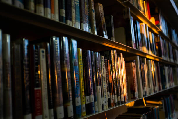 istock Sun over the books 1191888228