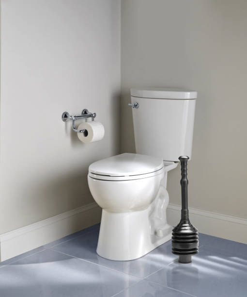 a flange do acordeão do toalete mergulha ao lado de um assento de toalete - plunger - fotografias e filmes do acervo