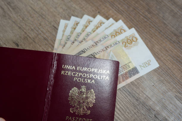 istock Polish money business composition 1191891434