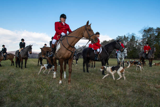 Charlottesville, USA, November 28, 2019 - Hundreds gathered at Grace Episcopal Church Thursday, November 28, for the 91st Annual Blessing of the Hounds. The Thanksgiving tradition opens with a church service, complete with a sermon, hymns, and fellowship.