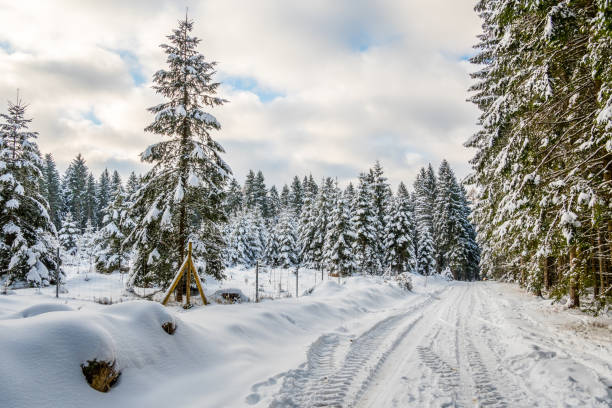 zimowy krajobraz w niemczech - mountain scape zdjęcia i obrazy z banku zdjęć