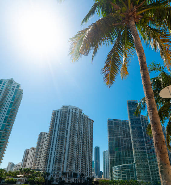 istock Skyscrapers and palms in Miami Riverwalk on a sunny day 1191898946