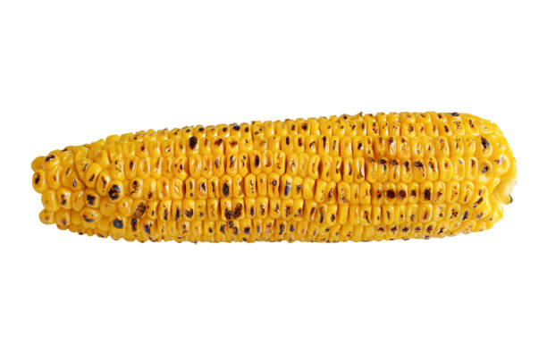 milho doce roasted orgânico na espiga isolada no fundo branco - corn corn on the cob grilled roasted - fotografias e filmes do acervo