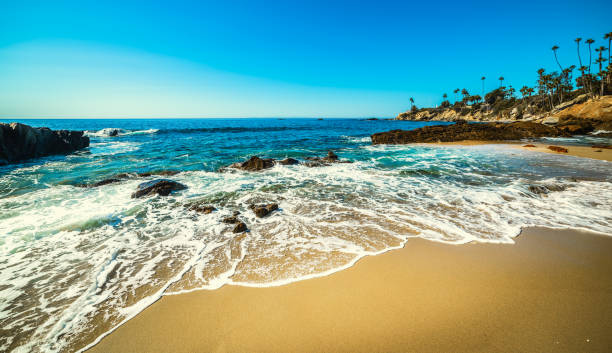 istock Laguna Beach shore on a sunny day 1191900513