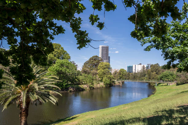 istock Parramatta Park, Parramatta, Sydney, Australia 1191901243
