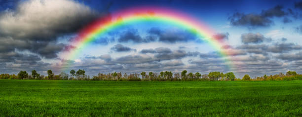 istock rainbow over the field. picturesque field 1191901258