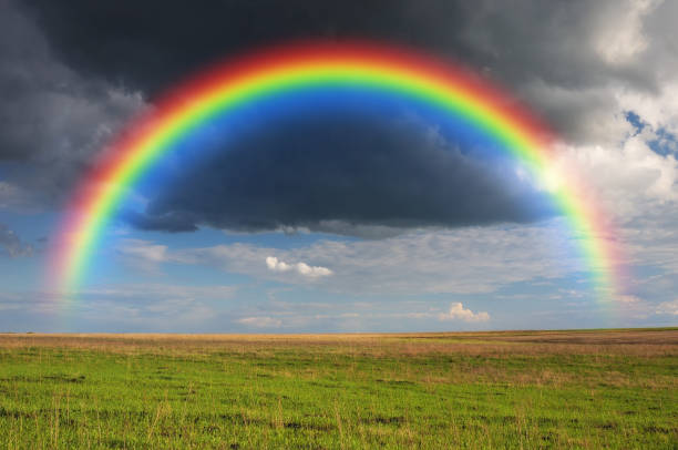 istock rainbow over the field. picturesque field 1191901346