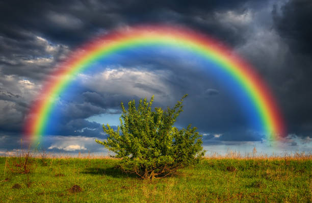 istock rainbow over the field. picturesque field 1191901514