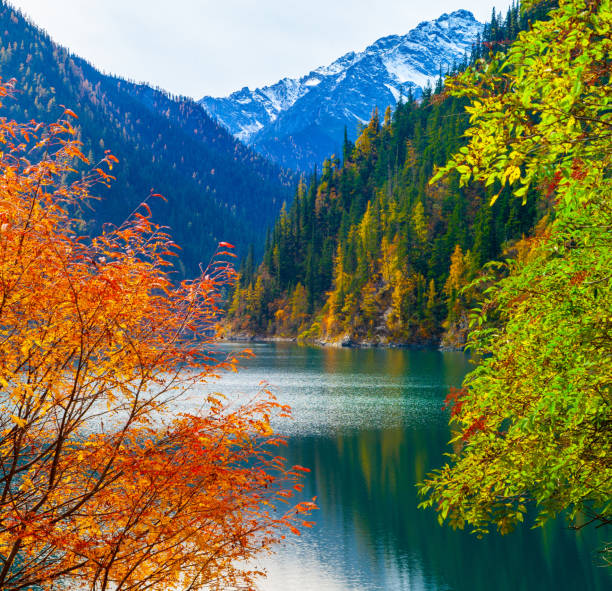 istock Colorful Autumn in China 1191902865