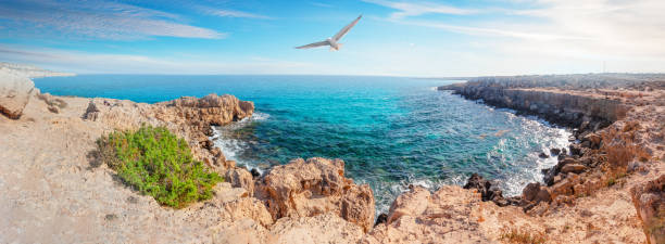 Cove with azure water at Cape Cavo Greco and a seagull in the sky. A popular tourist destination. Ayia Napa, Cyprus.
