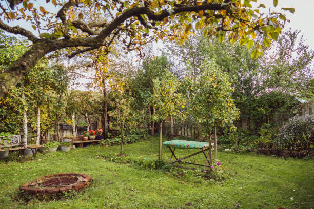 istock View on the autumn garden from under the pear tree 1191903405
