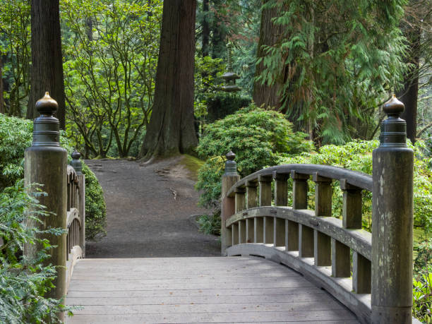 일본 정원 포틀랜드 오리건의 숲 탑 랜턴이 있는 인도교 - bridge wood japanese garden footbridge 뉴스 사진 이미지