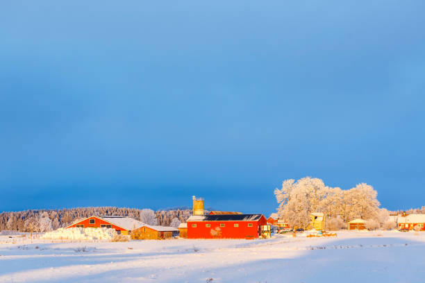 istock Agricultural buildings in a wintry landscape 1191908796