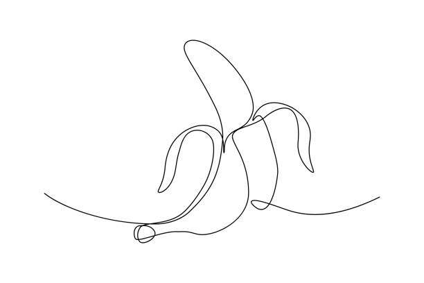 Peeled banana fruit Peeled banana in continuous line art drawing style. Black line sketch on white background. Vector illustration banana illustrations stock illustrations