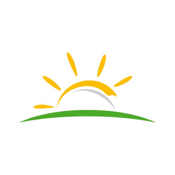 ilustrações, clipart, desenhos animados e ícones de desenho amarelo da ilustração do modelo do logotipo do vetor do sol. vetor eps 10. - weather condition sunny sunlight