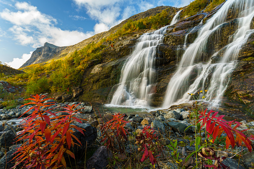 Autumn landscape with waterfall and red fireweed, Stora sjöfallets national park, Laponia, Swedish Lapland, Sweden