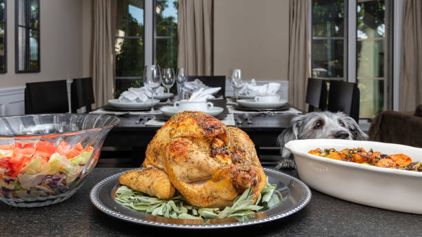 istock Dog Stealing Thanksgiving Day Dinner 1191913547