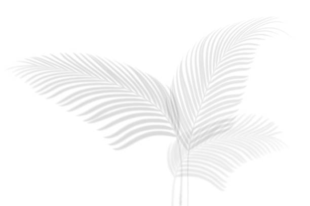 istock Abstract shadow black white palm leaf shadow on a white wall Background. Blank copy space. 1191915491