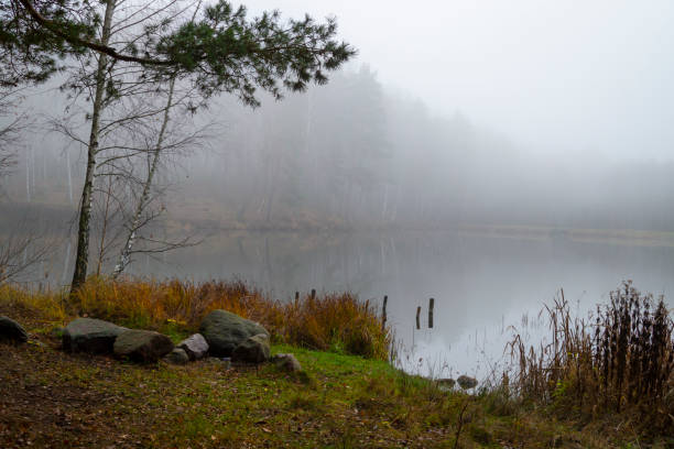 istock Atmospheric misty autumn landscape 1191918541