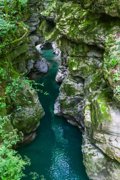 istock Martvili canyon in Georgia 1191921023