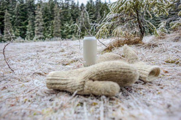 Aluminum Can and Mittens on Frozen Ground stock photo