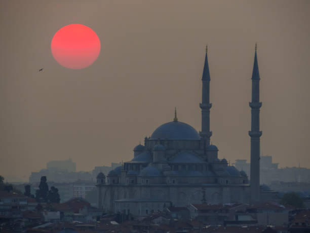 istock Fatih Mosque, Istanbul, Turkey 1191921972