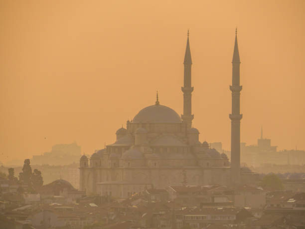 istock Fatih Mosque, Istanbul, Turkey 1191921979