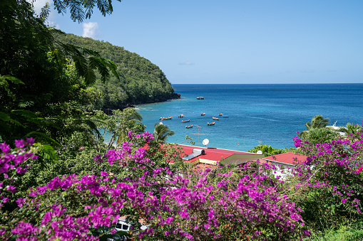 Famous beach of Anse Dufour, Anse Noire in Martinique Island, with turquoise water, flowers and tropical vegetation