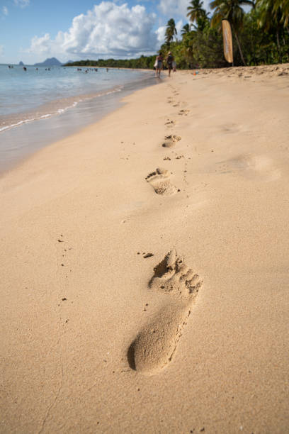 istock footprints on the beach - Martinique 1191923548