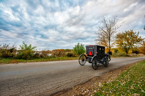 istock Amish Buggy on Rural Road 1191929744