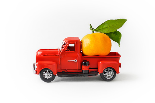 Orange mandarin orange with a green branch with leaves in a red Christmas truck on a white background. Concept - greeting card for Christmas and New Year, holiday delivery. Copy space