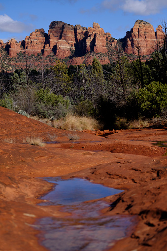 Landscape scenery in Sedona Arizona